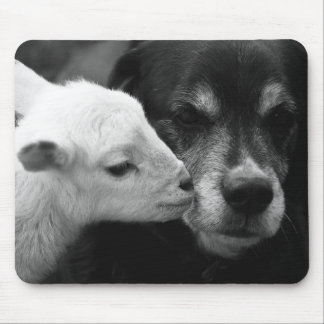 A Lamb's Kiss Mouse Mat