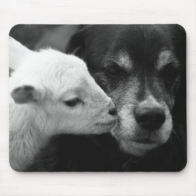A Lamb's Kiss Mouse Mat (Front)