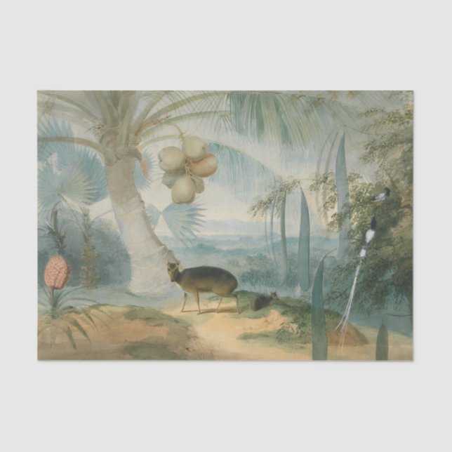 A Landscape in Ceylon by Samuel Daniell Tissue Paper (Front)