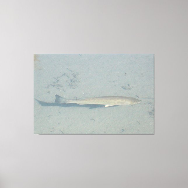 A Large Bass Canvas Print (Front)