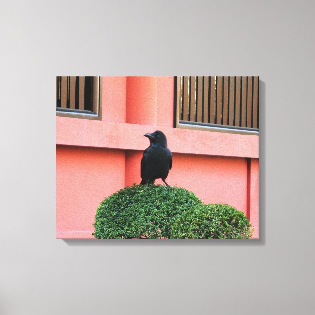 A Large-Billed Jungle Crow A Perch On A Cloud Tree Canvas Print (Front)