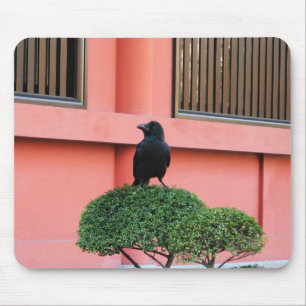 A Large-Billed Jungle Crow A Perch On A Cloud Tree Mouse Mat