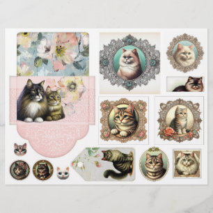 A Large Envelope Plus Pretty Cats in Lacy Frames