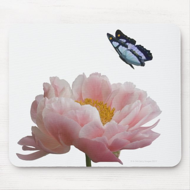 a large pink peony is visited by a ethereal mouse mat (Front)
