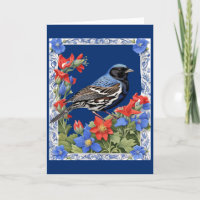 A Lark Bunting Surrounded by Colorado Columbine