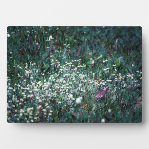 A Lark in a Meadow Plaque