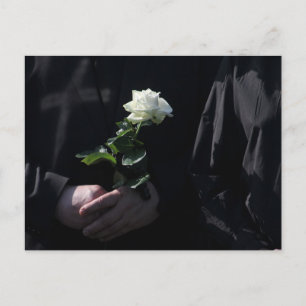 A Last White Rose Postcard