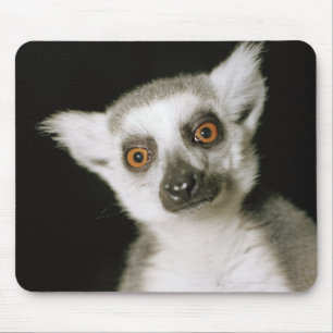 A lemur. mouse mat