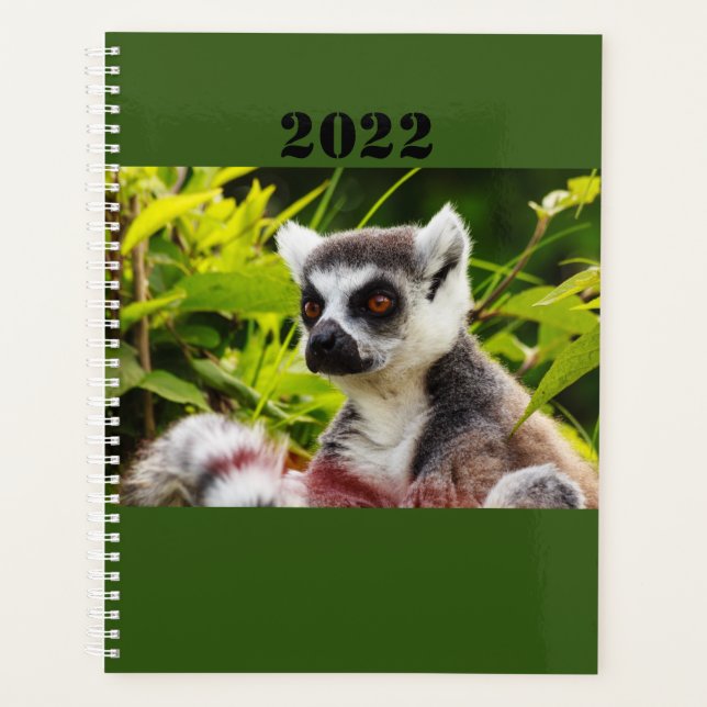 a lemur of Madagascar on planner (Front)