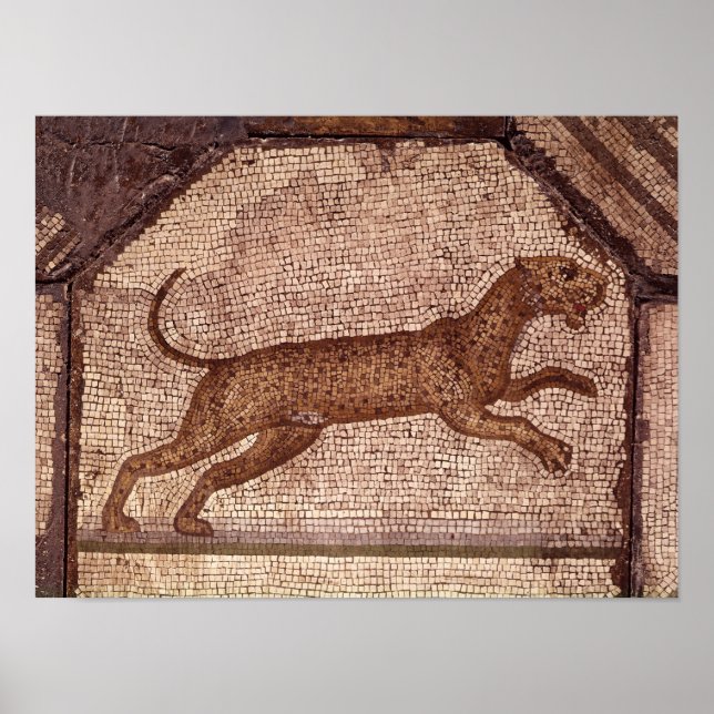 A Leopard Poster (Front)