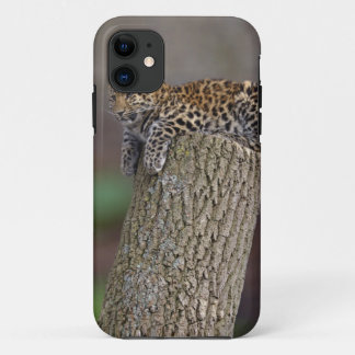 A Leopard's Tail iPhone 5 Case-Mate Case