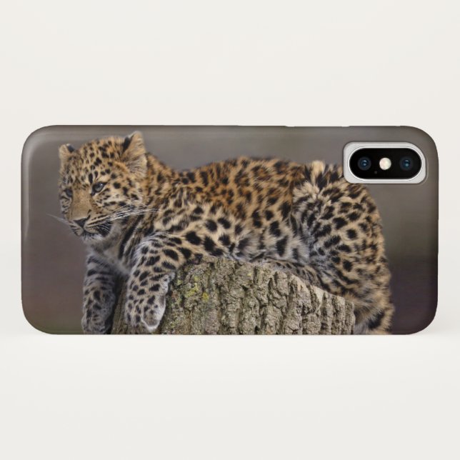 A Leopard's Tail iPhone X Case (Back (Horizontal))