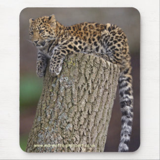 A Leopard's Tail Mousemat