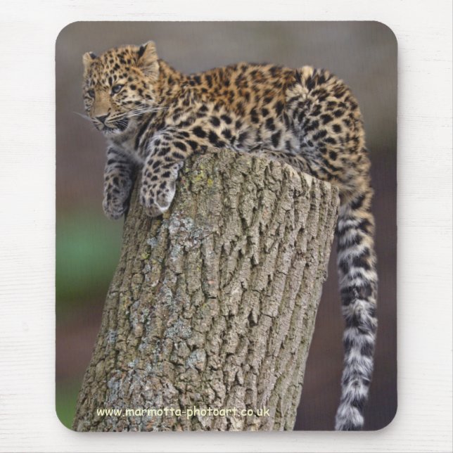 A Leopard's Tail Mousemat (Front)