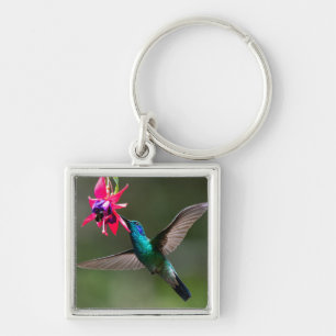 A Lesser Violetear Hummingbird Key Ring