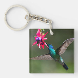 A Lesser Violetear Hummingbird Key Ring