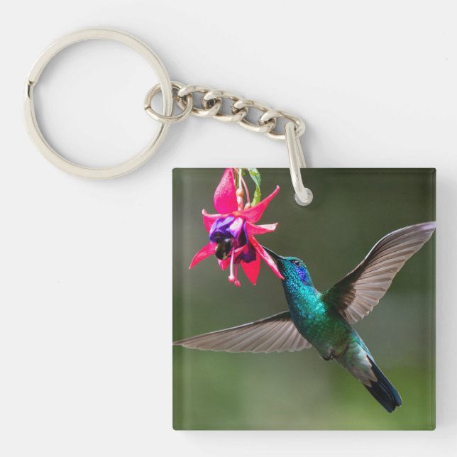 A Lesser Violetear Hummingbird Key Ring (Front)