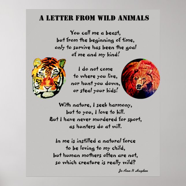 A LETTER FROM WILD ANIMALS poster (Front)