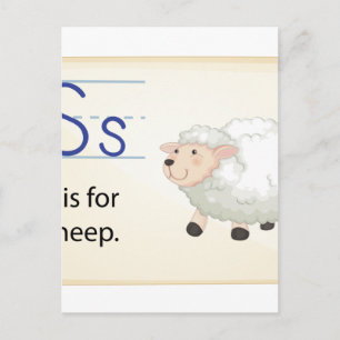 A letter S for sheep Postcard