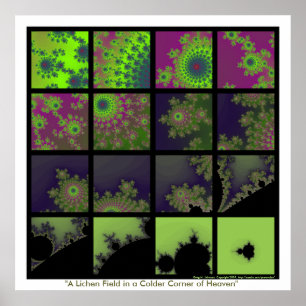 A Lichen Field in a Colder Corner of Heaven Poster