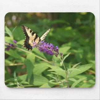 A Light Lunch Mouse Mat