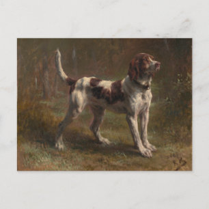 A Limier Briquet Hound Postcard