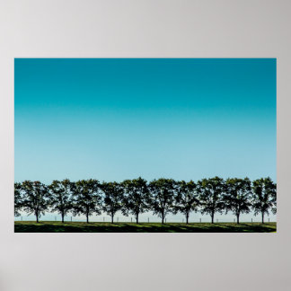A line of trees on top of a hill in Sugarcreek, OH Poster