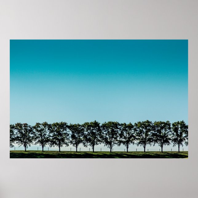 A line of trees on top of a hill in Sugarcreek, OH Poster (Front)