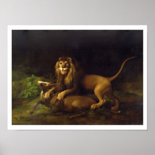 A Lion Attacking a Stag, c.1765 (oil on canvas) Poster