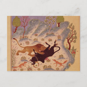 A Lion Attacking and Killing a Bull Postcard