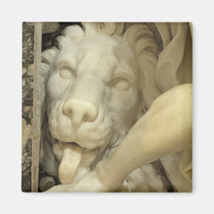 A Lion licking the foot of Daniel Magnet