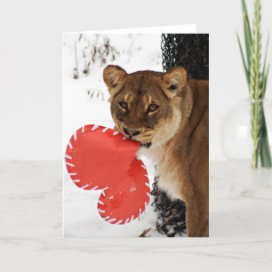 A Lion Share of  Love Holiday Card