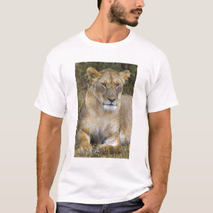 A lion sitting the high grass of the Maasai T-Shirt