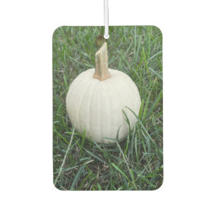 A Littie White Pumpkin Car Air Freshener