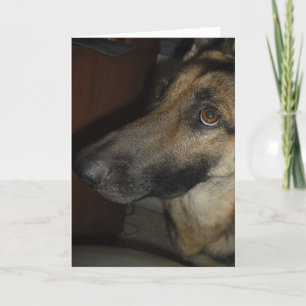 A little attention goes a long way greeting card