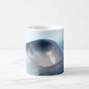 A little baby seal coffee mug