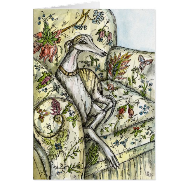 A Little Becoming- Whippet Art Illustration (Front)