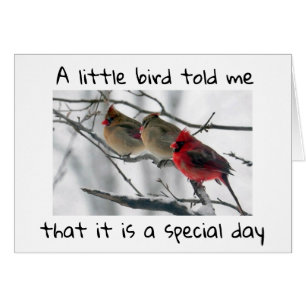 A LITTLE BIRD TOLD ME IT IS ****OUR SPECIAL DAY***