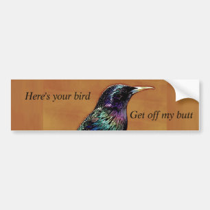 A Little Bird Told Me Starling Bird Photograph Bumper Sticker
