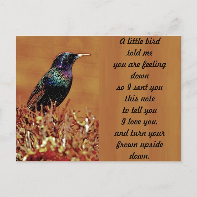 A Little Bird Told Me Starling Bird Photograph Postcard (Front)