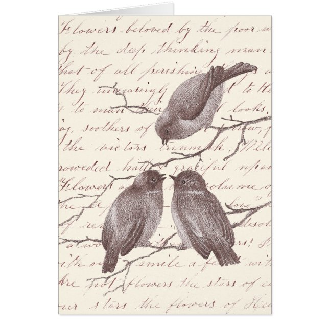 A Little Bird Told Me: Winter Birds Antique Sketch (Front)