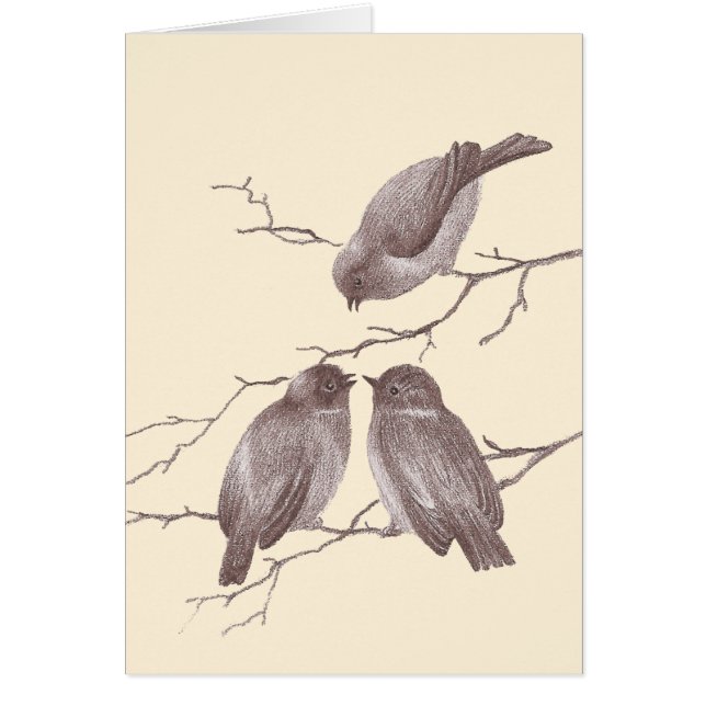 A Little Bird Told Me: Winter Birds Antique Sketch (Front)