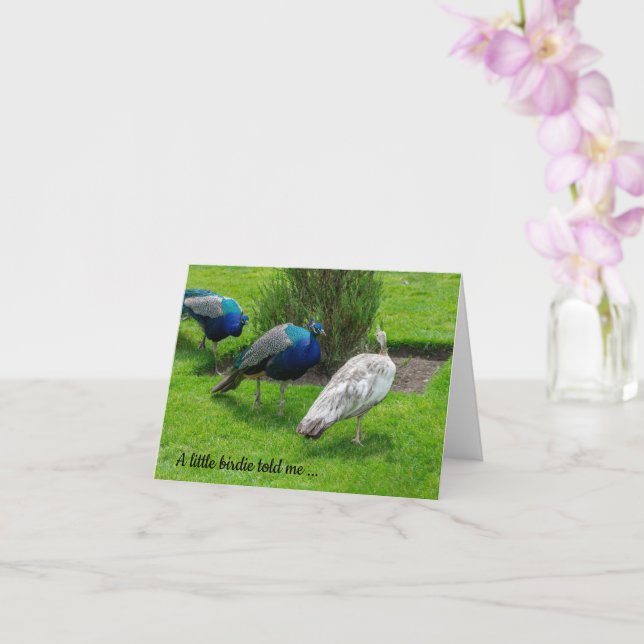 "A little birdie told me ..." Peacocks Card (Orchid)