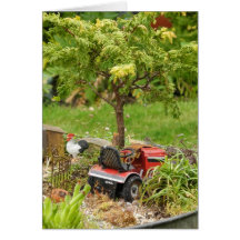 A Little Bit Country, Blank Card