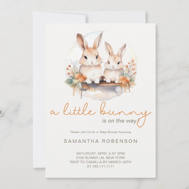 A little Bunny is on the way baby Shower Invitation (Front)