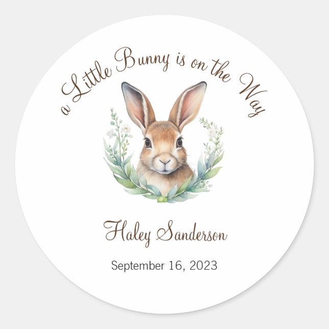 A Little Bunny is on the Way Label, Baby Classic Round Sticker (Front)