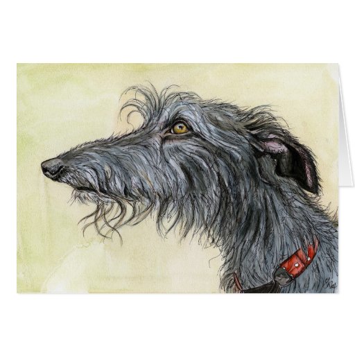 Image of A Little Coincidence -Lurcher Dog Art
