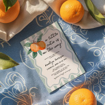 A Little Cutie Whimsical Boys Baby Shower