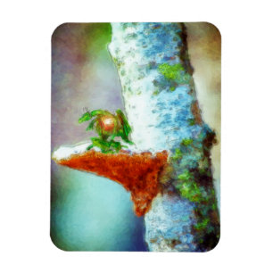 A Little Dragon Sleeps Magnet