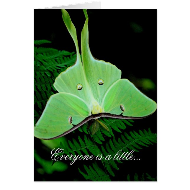 A Little Irish (Front)